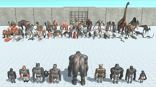 🦍MUTANT PRIMATES VS EVERY FACTION  Animal Revolt Battle Simulator [upl. by Yelrak]