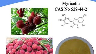 Myricetin Plant Pigment IntroductionStructure SynthesisVery Easy WayImportant Of MSc Notes [upl. by Sleinad]