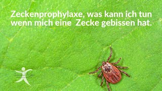 Zeckenprophylaxe und was ich nach einem Zeckenbiss machen kann [upl. by Odnamla]