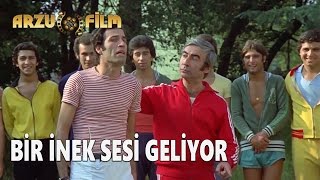 Bir İnek Sesi Geliyor  Hababam Sınıfı Uyanıyor [upl. by Ellerd377]