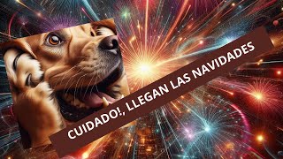 PERROS en PANICO a los fuegos artificiales ¡Descubre el Metodo Tellington [upl. by Yadsendew]