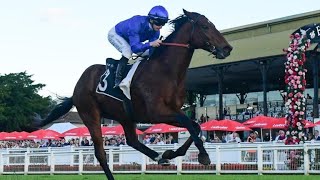 2024 Stradbroke Handicap Day  Eagle Farm Tips TESTING OUT A NEW ALGORITHM [upl. by Onez]