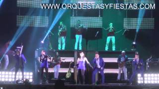 orquesta panama 2015estres [upl. by Onifur793]