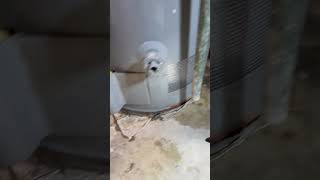 IS YOUR WATER HEATER LIKE THIS ITS WRONG  Watchdiy plumber [upl. by Rind434]