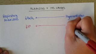 Causes of Blood Alkalosis [upl. by Hunger652]