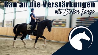 Mehr Bergauf in den Verstärkungen🚀 Hier gibts Tipps amp Übungen 🐴  ClipMyHorseTV Academy🎓 [upl. by Augusta]