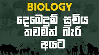 දෙබෙදුම් සුචිය  Al biology [upl. by Dirrej]