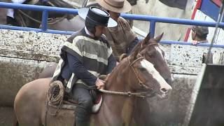 RODEO CLUB LONQUIMAY  Programa 278 [upl. by Holleran297]