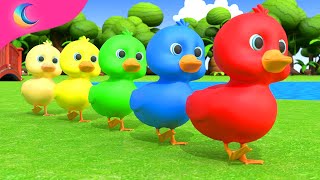 Five Little Ducks  Kids Songs  BluLoo Nursery Rhymes amp Kids Songs [upl. by Particia]