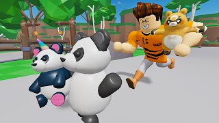 Horangi Culik Semua Panda Comel  Find The Pandas Roblox Malaysia [upl. by Atteynot151]