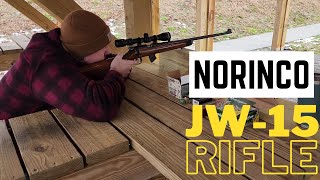 Norinco JW15 22 Rifle  Shooting amp Accuracy JW15 22lr [upl. by Nywnorb]