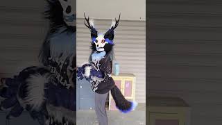 Willow Corvus Fox furry furrie fursuit furries skulldog [upl. by Abby999]