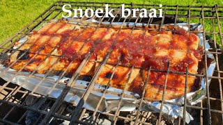 Snoek braai in South Africa  Fish barbecue recipe [upl. by Ycnalc]