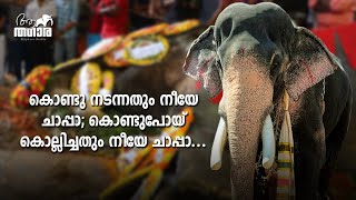 ആയുസെത്താതെ ചെരിഞ്ഞ നാട്ടാനകളുടെ കൂട്ടത്തിൽ മംഗലാംകുന്ന് അയ്യപ്പനും  MANGALAMKUNNU AYYAPPAN [upl. by Babb197]