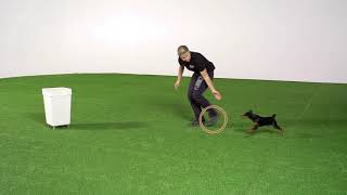 Beginner agility sending your dog around an object [upl. by Lecram]