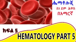 Formation of white blood cells  Leukopoiesis ክፍል 5 [upl. by Raf835]