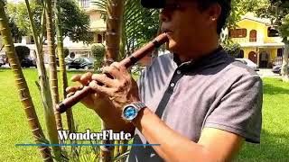 Quena Flute of Jacaranda wood fluteplayers peruvianmusic [upl. by Marlee]