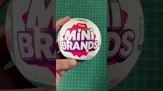 Mini Brands Books Unboxing [upl. by Howund102]