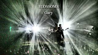 Blossoms Gary O2 Ritz Manchester 20112024 [upl. by Siaht]