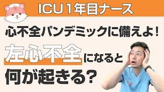 【看護師必見】【心不全パンデミック？】左心不全になると何が起きる？ [upl. by Jess]