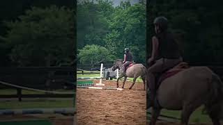 I miss Gracie  owner 2 Isis horse equestrian [upl. by Aikrahs95]