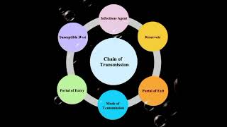 Chain of transmission chaun of infection transmission of infection infection transmission [upl. by Bresee]