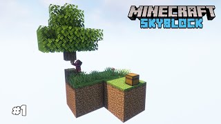 Une nouvelle AVENTURE sur un SKYBLOCK 117  1 [upl. by Braswell152]