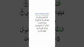 SURAH NAS•viral shorts youtubeshorts trending shortvideos viralvideos quranrecitation quran [upl. by Sunderland]