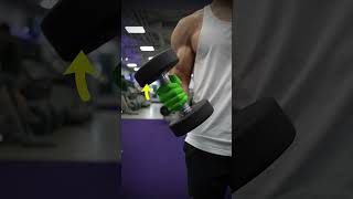 Dumbbell Bicep Curl Variations KNOW THE DIFFERENCE [upl. by Berne486]