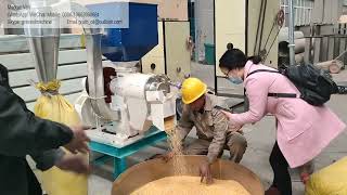 corn maize degerminatorpolisherseperate corn maize brangermsendosperm corn grits mill machine [upl. by Dlopoel731]