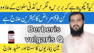 Iconic Homeopathic Medicine Berberis Vulgaris  Berberis Vulgaris Uses in Hindi [upl. by Henderson]