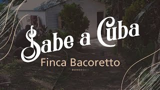 Sabe a Cuba  Guanabacoa  Harinas Bacoretto [upl. by Tavey522]