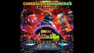 MIX》BAILABLE2024《LESTER BLANDON 《DJ ESTEBAN 505 [upl. by Vokaay]