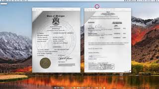 How to Apostille a Michigan Notarized Document [upl. by Maclay]