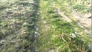 Merthyr Tydfil  The Past Cairn Y Bugail Megalithic Tomb [upl. by Adamsen]