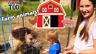 Farm Animals  Learn About Farm Animals for Kids  Farm Animals for Toddlers  Chickens Goats Horses [upl. by Oirelav]