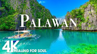 PALAWAN NATURE in 4K UHD Drone Film  Relaxing Piano Music for Stress Relief Sleep Spa Yoga Cafe [upl. by Pettifer]