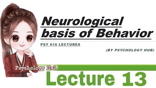 PSY 610 Neurological basis of behavior  lecture 13  Psychology hub [upl. by Yoj]