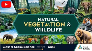 Explore Nature’s Wonders Natural Vegetation amp Wildlife  Class 9 CBSE [upl. by Stoneham923]