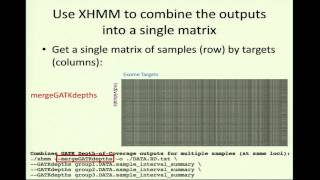 BroadE XHMM Discovery and Genotyping of Copy Number Variation from Exome Read Depth 07102013 13 [upl. by Amy]