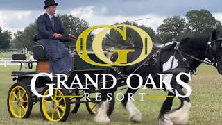 First Annual GHSA Southeast Region Show at the Grand Oaks Resort [upl. by Di]