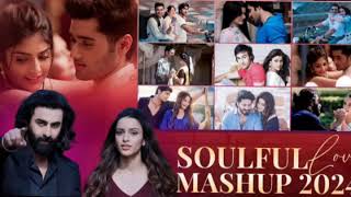 Soulful Mashup 2024  Love Mashup Song  song [upl. by Liebowitz882]