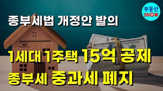 1주택자 기본공제 15억 종부세 중과세 폐지 종부세법 개정안 발의 [upl. by Elpmet949]