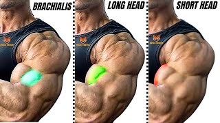 THE 5 MOST POWERFUL BICEPS EXERCISES TO BUILD HUGE ARMS [upl. by Adnam]