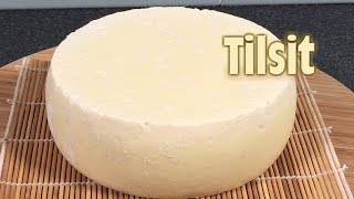 How to make Tilsit  Washed Rind Cheese [upl. by Adora]