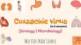 Coxsackievirus  Microbiology  Med Vids Made Simple [upl. by Novelia]