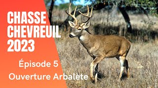 Chasse chevreuil 2023 Ouverture Arbalète Ep5 [upl. by Ayahsey]