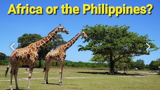 A part of Africa popular with Filipinos but perhaps unheardof by Expats [upl. by Gonick953]