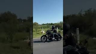 motorcycle harleys harleydavidsonmotorcycles harleydavidson biker harleylife moteros [upl. by Ocker]