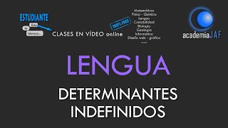 Los determinantes indefinidos  Lengua Española análisis morfológico  academia JAF [upl. by Schwerin432]